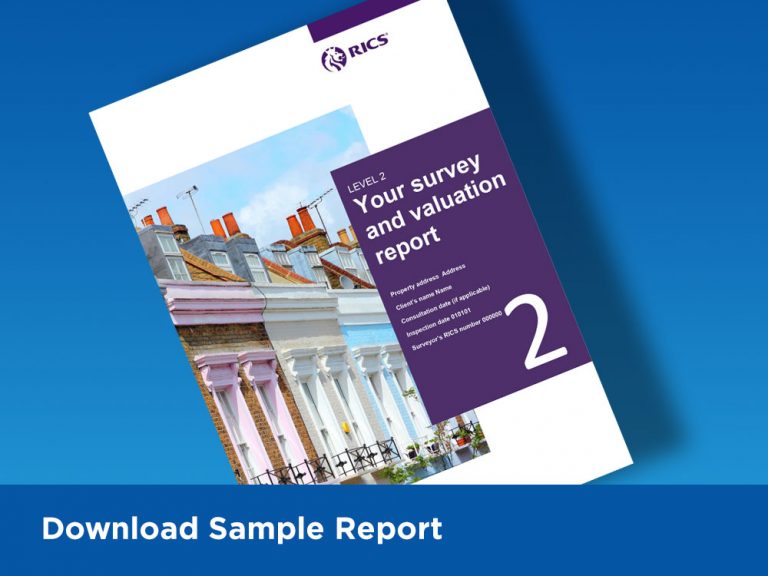 Level 2 HomeBuyer Report HWM Surveyors